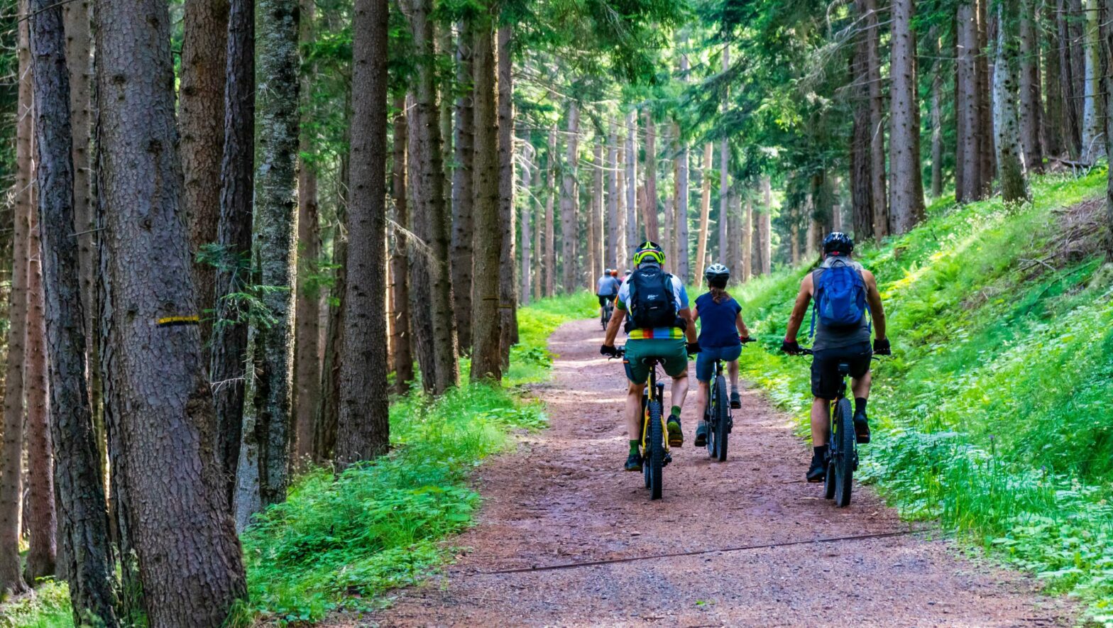 Radfahren in Grünau