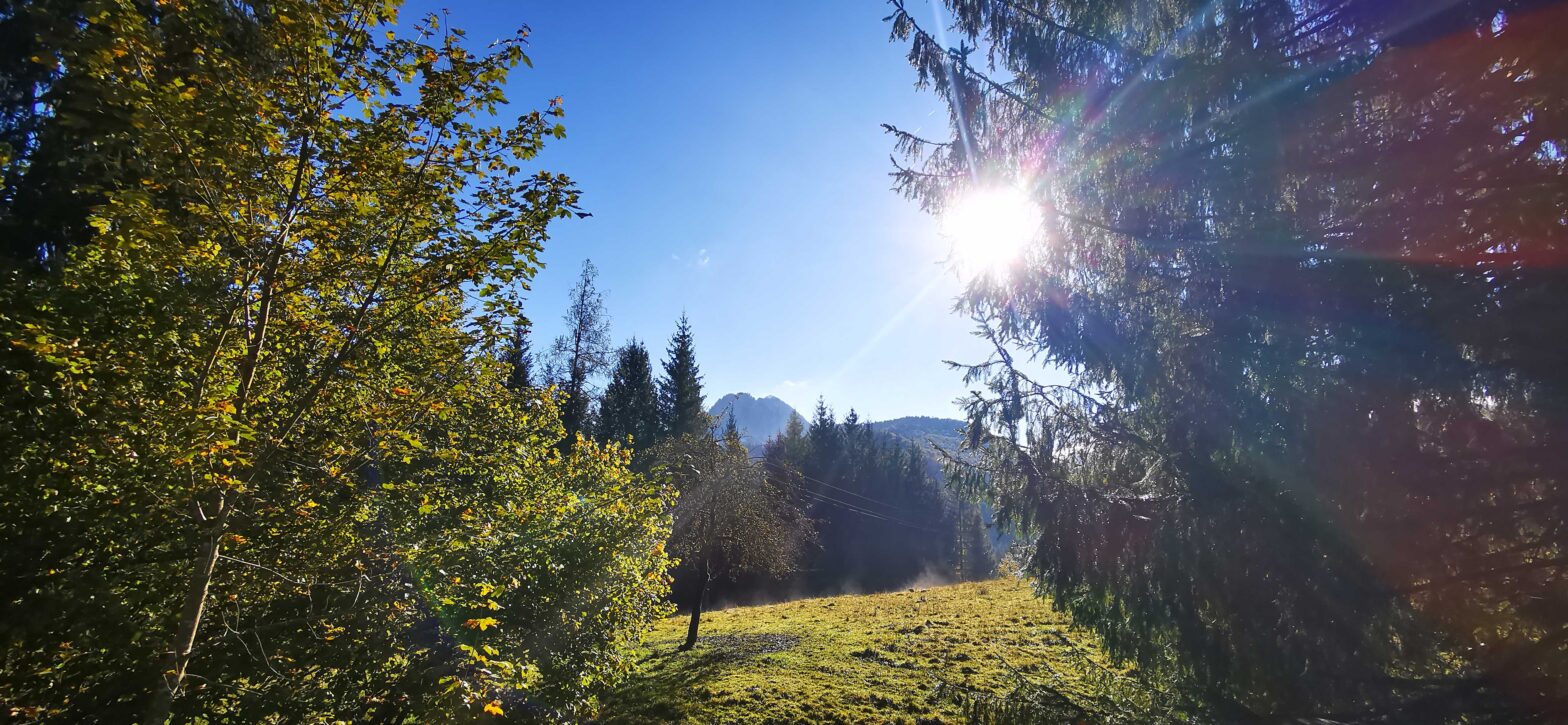 Herbstzeit am Wimmergreuth!